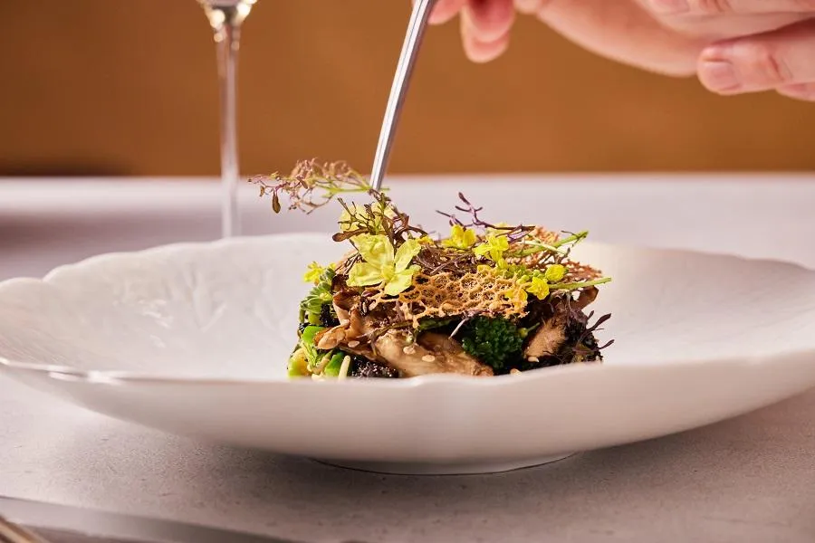 Dégustation gastronomique de légumes